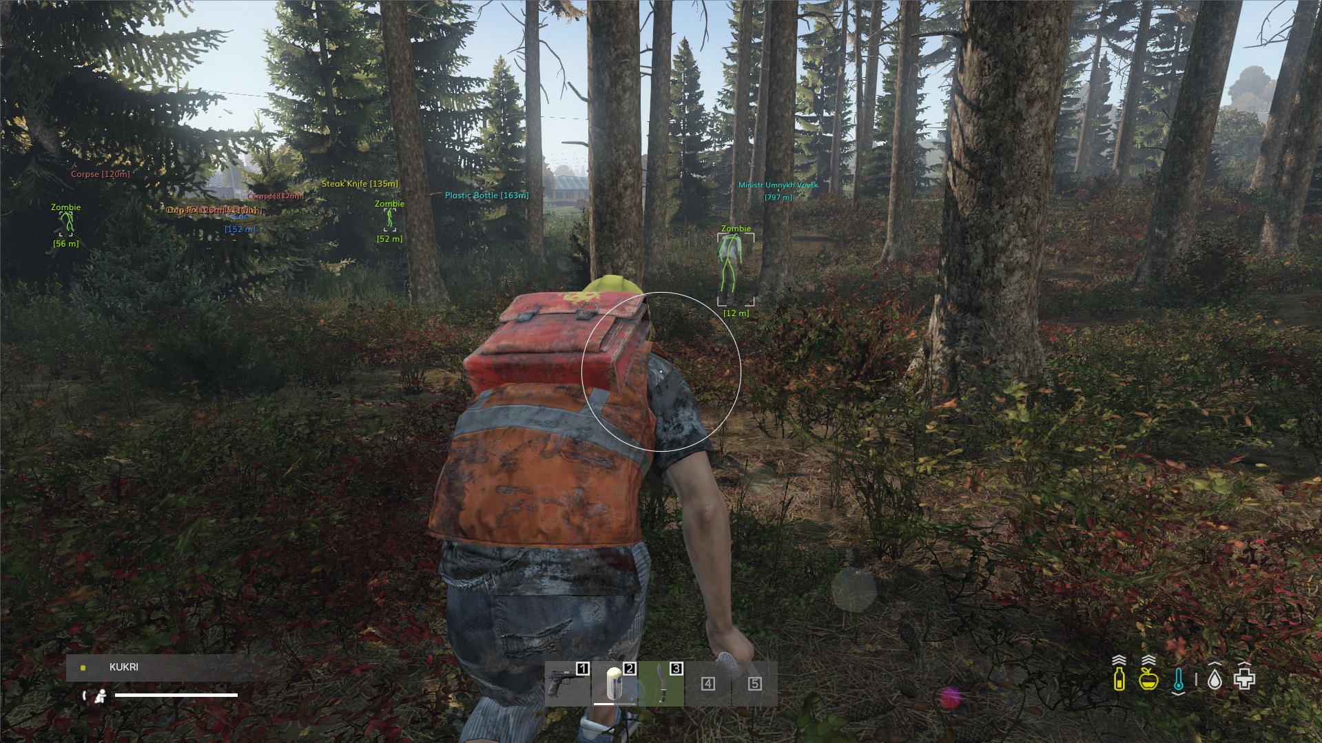 dayz cheat screenshot 2